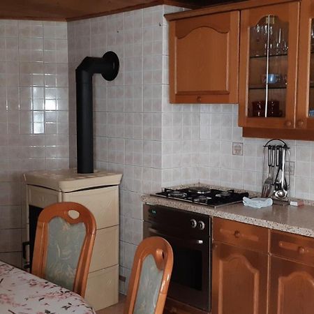 Apartment Zorc Trenta Extérieur photo